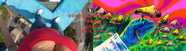 кокаин премиум Баксан
