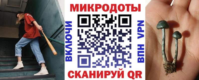 Галлюциногенные грибы Psilocybine cubensis  нарко площадка состав  Озёрск 