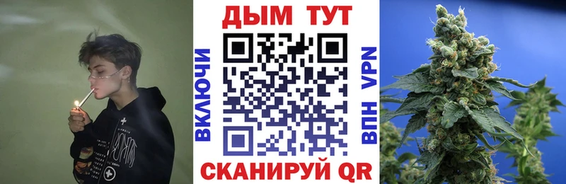 цены Озёрск Бошки Шишки гибрид